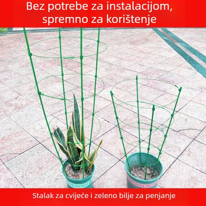 Unutarnja penjačka stabla za biljke s plastičnom potporom za ruže i klematis