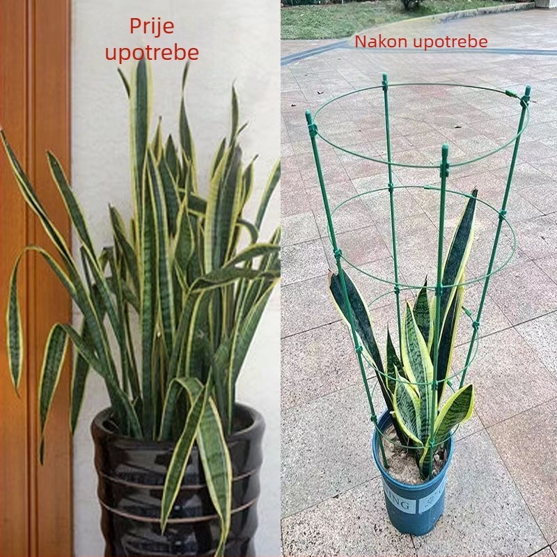 Unutarnja penjačka stabla za biljke s plastičnom potporom za ruže i klematis