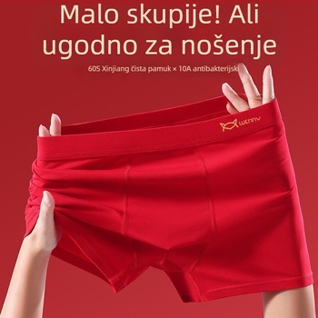 Muške antibakterijske gaćice od pamuka, srednje podizanje, klasičan kroj, glavni materijal 95–100% pamuk, podstava prepona 90–95% pamuk, za sve sezone
