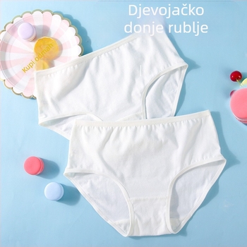 Dječje pamučne gaćice za djevojčice – 95% pamuk; Silk Celery (8+ godina; ljeto 2025 izdanje)