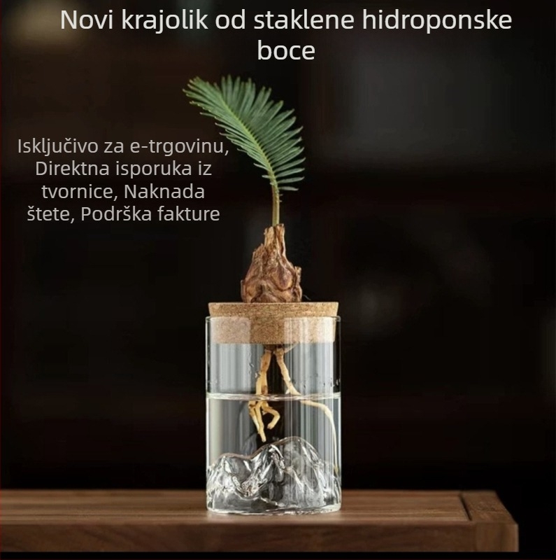 Hidroponska vaza za mikro krajinu bonsai, staklo visokog borosilikatnog, kartonsko pakiranje, pogodno za poklon