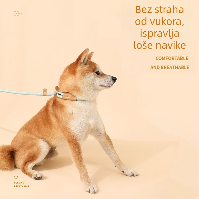 Nylon povodac za psa, povlačni, podrijetlo Zhejiang