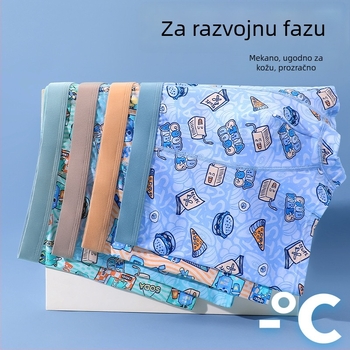 Pamučne dječje gaćice za dječake 8+ godina (iznad 140 cm), ljeto 2024, Sigurnosna klasa B