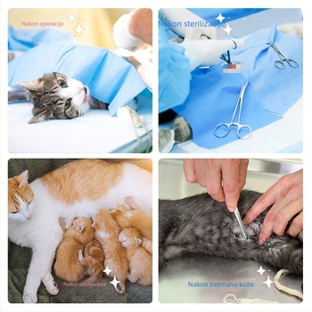 Odjeća za mačke nakon sterilizacije – prozračna pamučna odjeća za kućne ljubimce s trostrukim pričvršćivanjem (pulover s elastikom, stražnji remen, Velcro na repu); štiti od infekcije, lizanja i protoka mlijeka; prilagodljivo, tijesno pristaje