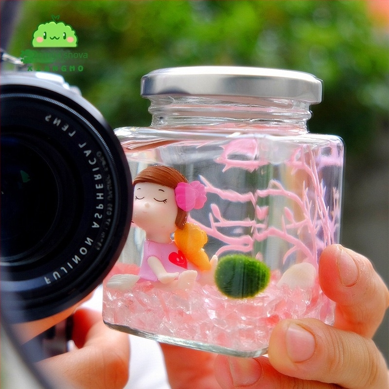 Warm dream Stakleni mini terrarium s marimo - hidroponski mikro krajolik, biljka za poklon