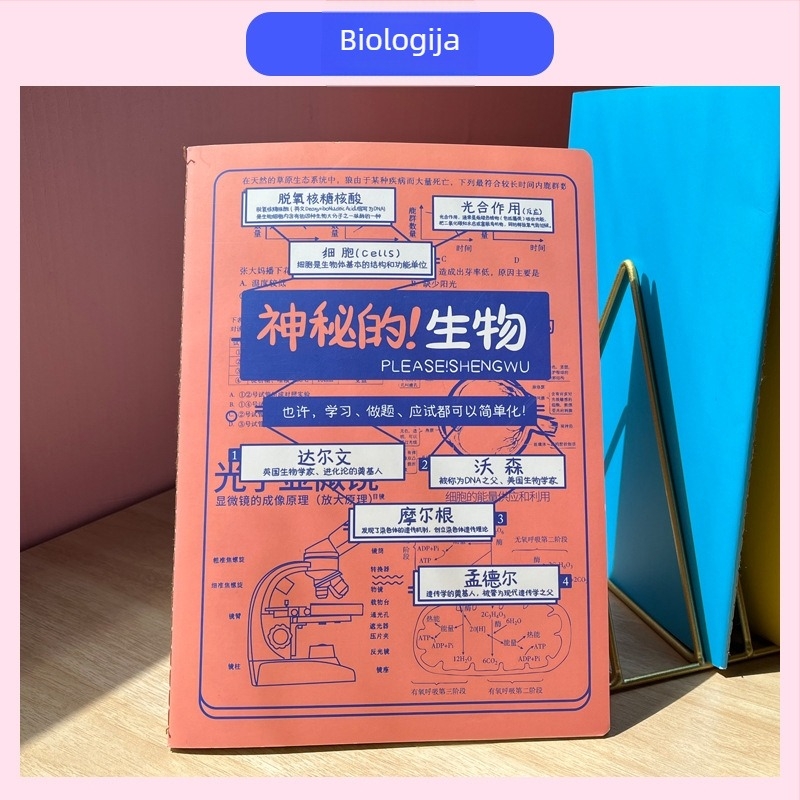 Bilježnica Rainbow Age, 50–100 stranica, vezana koncem, papirna težina 1.35 Nevin, papirni omot