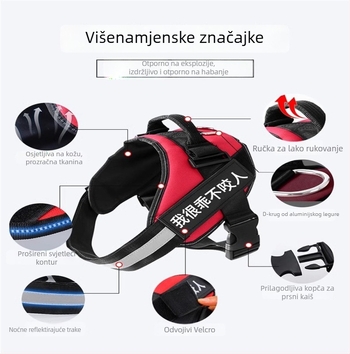 Set hama za psa u stilu veš i povodac s lancem za Border Collie, Golden Retriever i French Bulldog