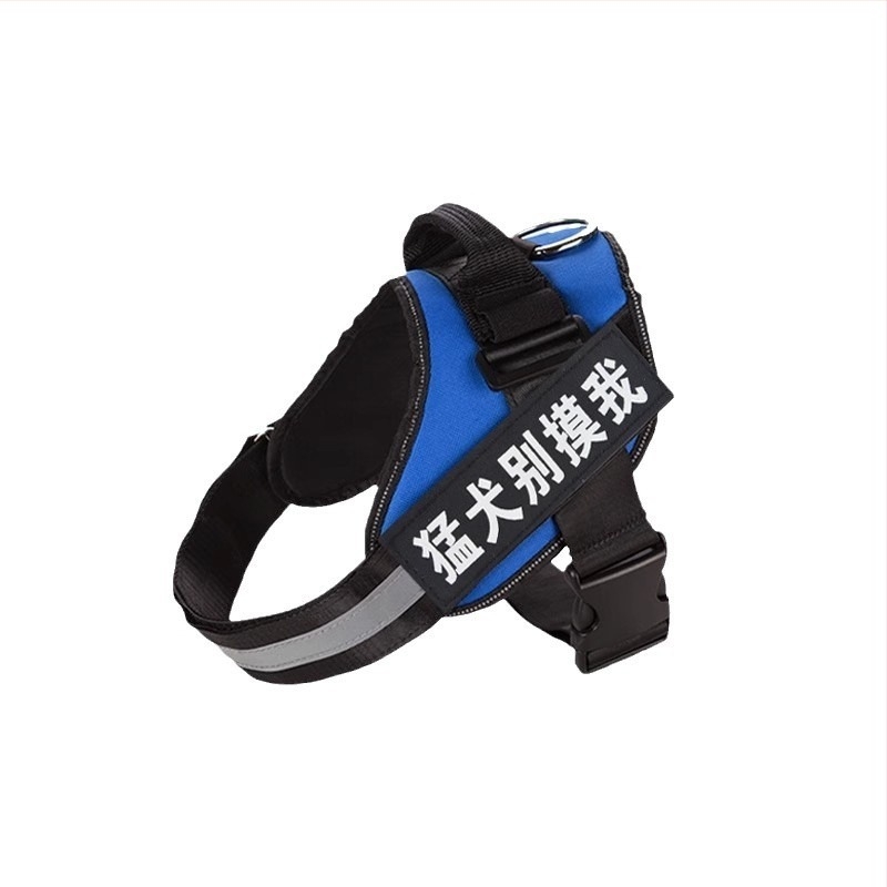 Set hama za psa u stilu veš i povodac s lancem za Border Collie, Golden Retriever i French Bulldog