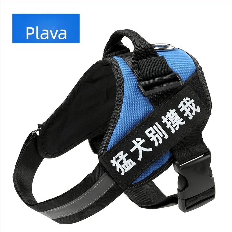 Set hama za psa u stilu veš i povodac s lancem za Border Collie, Golden Retriever i French Bulldog