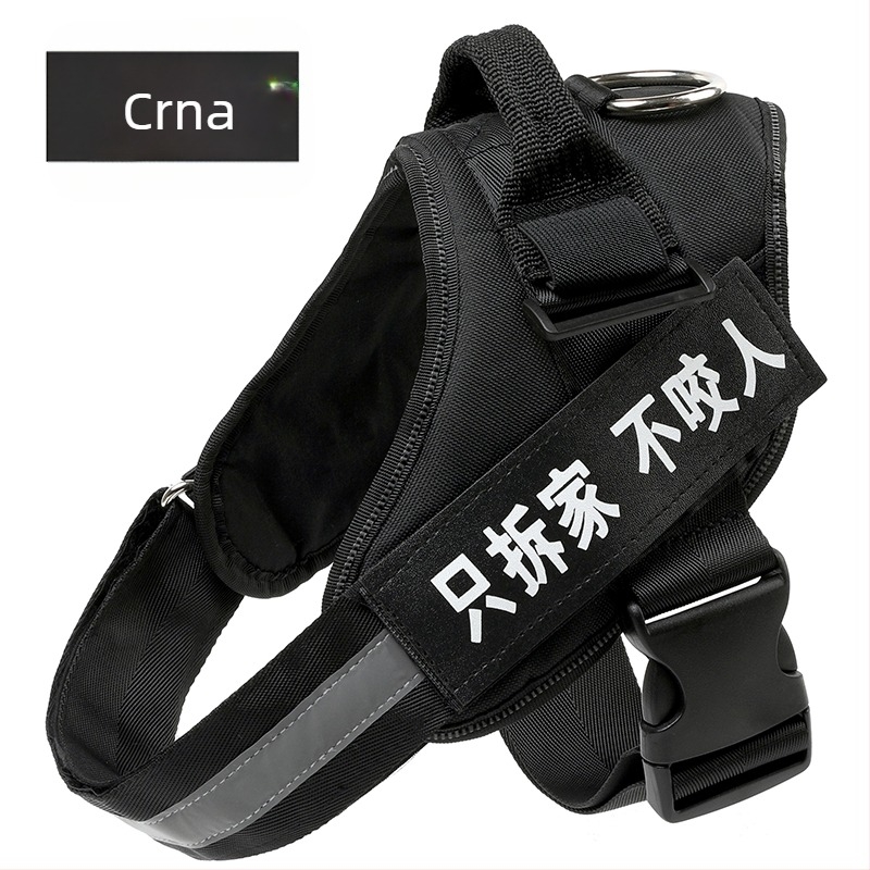 Set hama za psa u stilu veš i povodac s lancem za Border Collie, Golden Retriever i French Bulldog