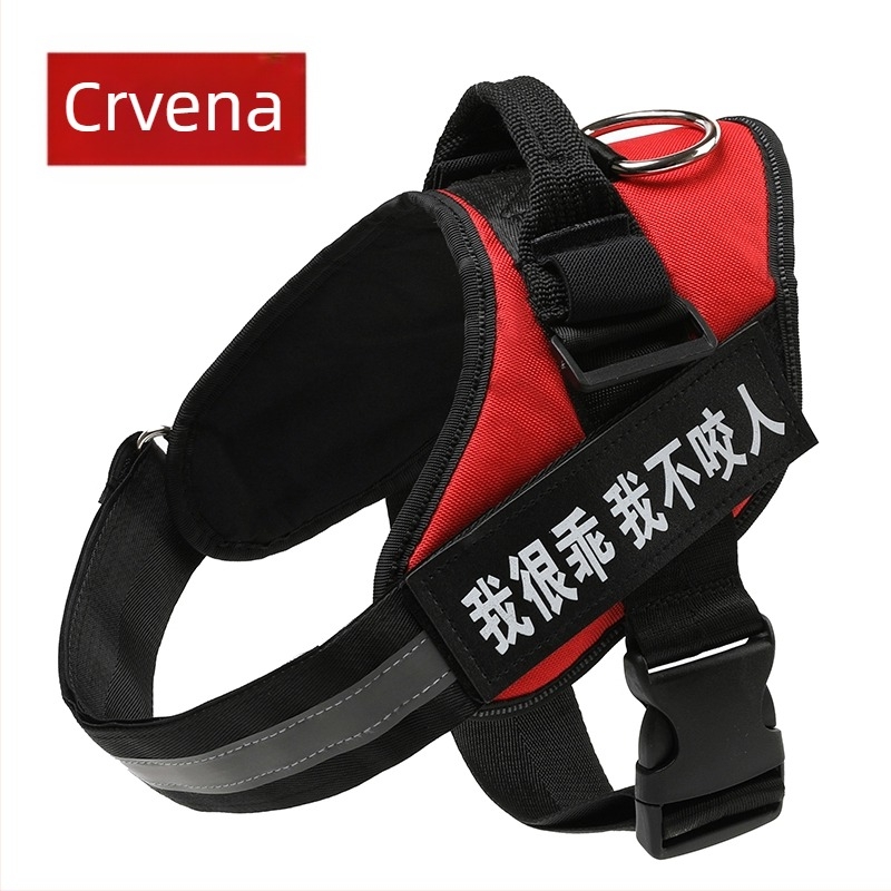 Set hama za psa u stilu veš i povodac s lancem za Border Collie, Golden Retriever i French Bulldog