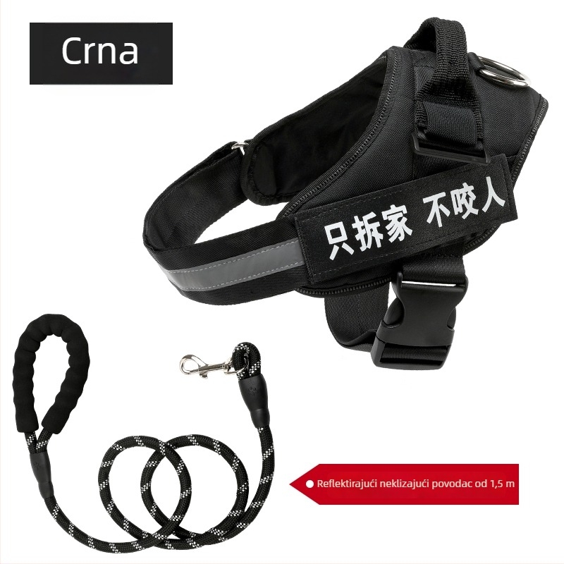 Set hama za psa u stilu veš i povodac s lancem za Border Collie, Golden Retriever i French Bulldog