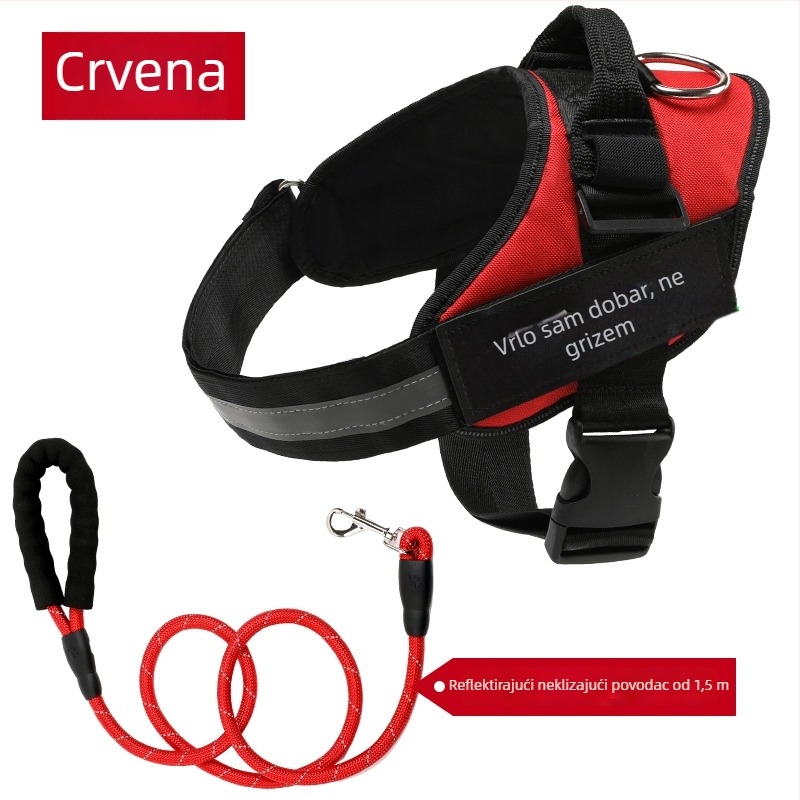 Set hama za psa u stilu veš i povodac s lancem za Border Collie, Golden Retriever i French Bulldog