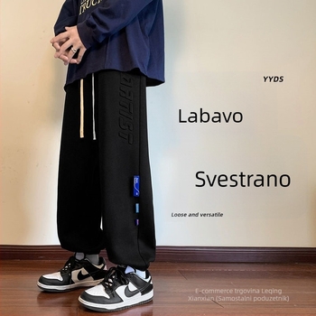 Muške udobne hlače s opuštenim krojem, srednje-visoki struk, poliesterska mješavina, mikroelastičnost, uobičajena debljina, za sve sezone