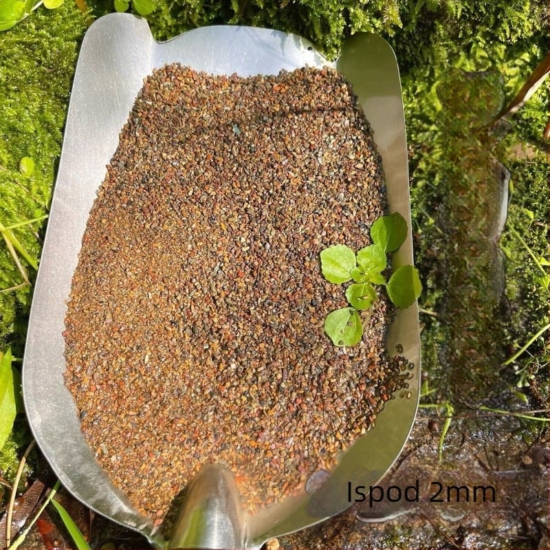 Podloga za akvarij – materijal školjka, stil mahovine mikro krajina, dekorativne simulirane biljke