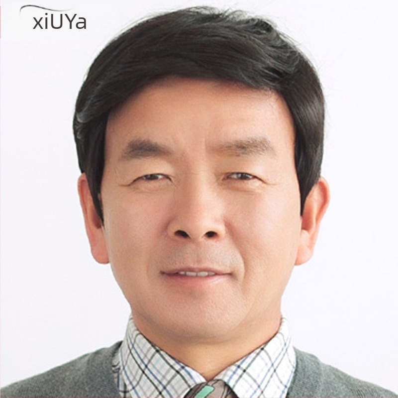 Muška perika, model D80, vlakno otporno na visoke temperature, mehanička obrada, Xiuya Wig
