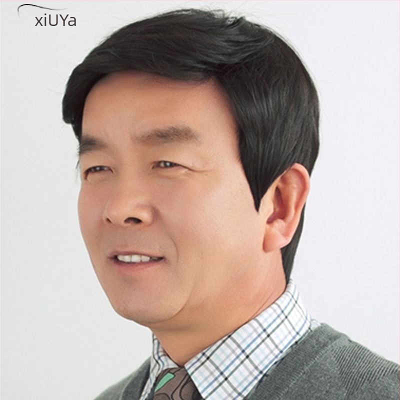 Muška perika, model D80, vlakno otporno na visoke temperature, mehanička obrada, Xiuya Wig