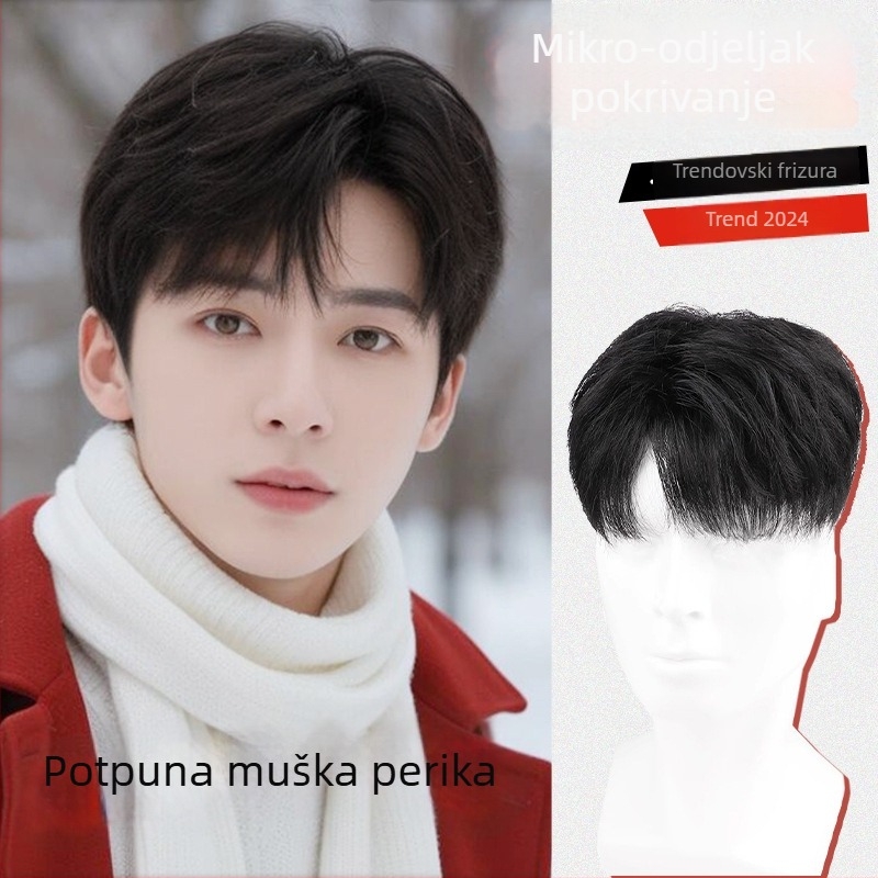 Muška perika, korejskog stila, kratka kosa, prirodan izgled, ljudska kosa, pokriva gubitak kose, može se bojiti ili permirati