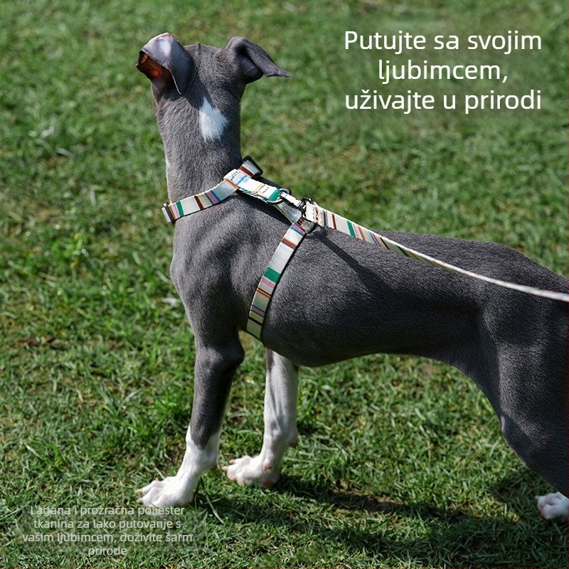Zeze vodilica za pse s I-oblik dizajnom, podesiva, protiv isklizavanja, u stilu vest, za male pse; materijal: poliester, poliacetalna smola, cinkov spoj