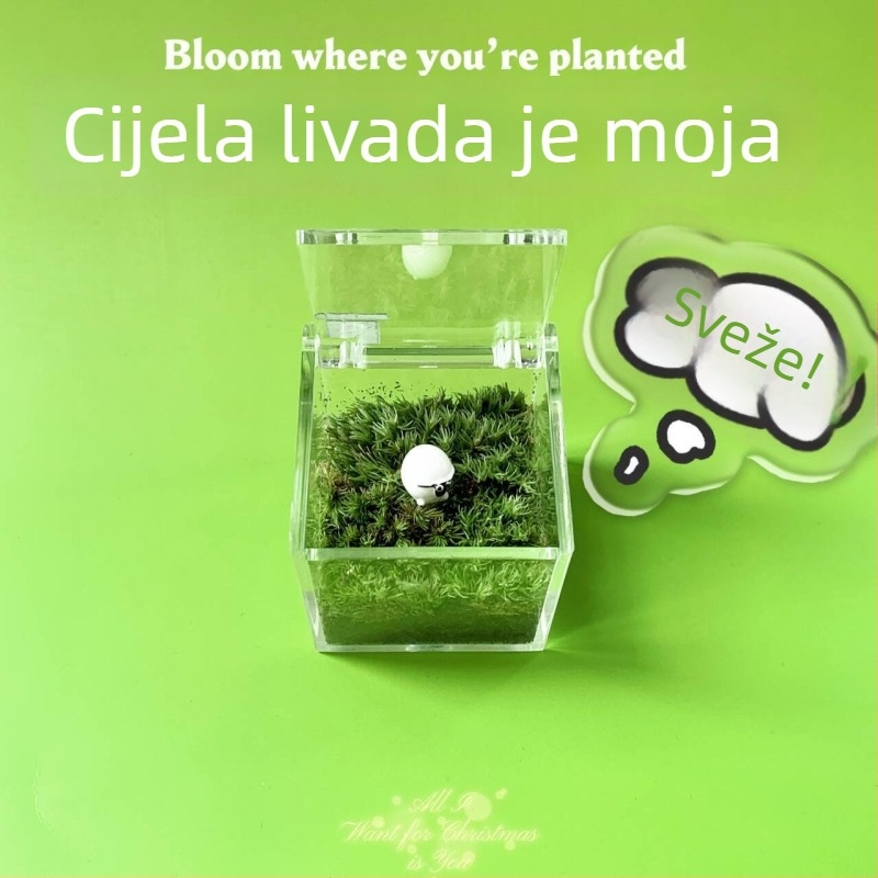 Mikro pejzaž mahovine za unutarnji stol – ručno izrađeno, mogućnost logotipa, poklon za ured