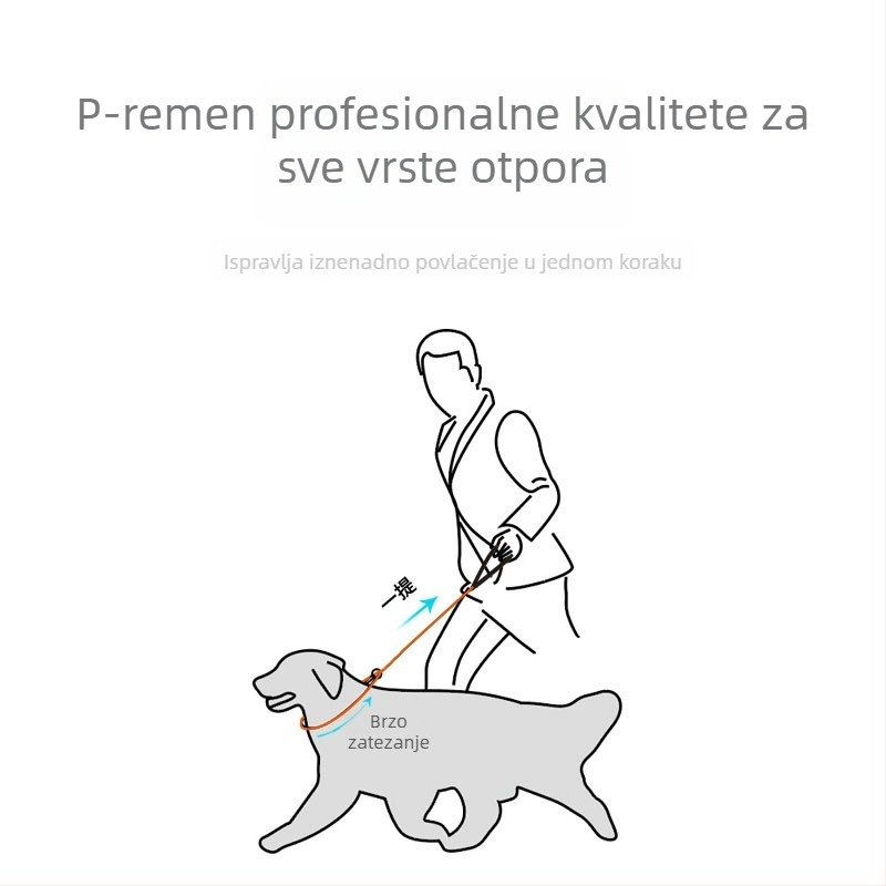 Womir care najlon povodac za pse za profesionalnu obuku — neproširiv, kutija 50 komada