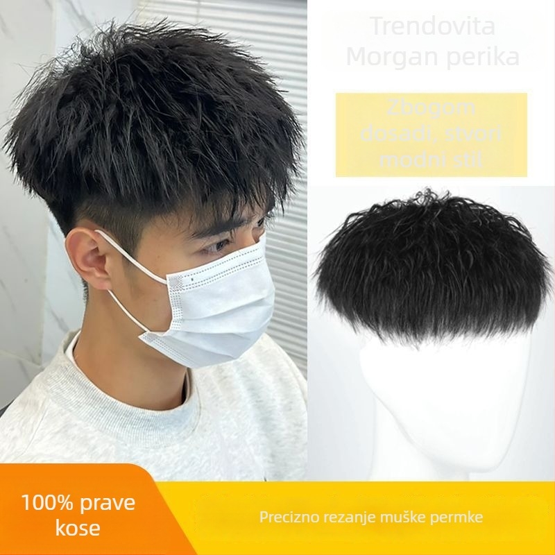 Muška perika, Morgan stil, korejski izgled, ljudska kosa, volumen, pogodna za bojanje i trajnu