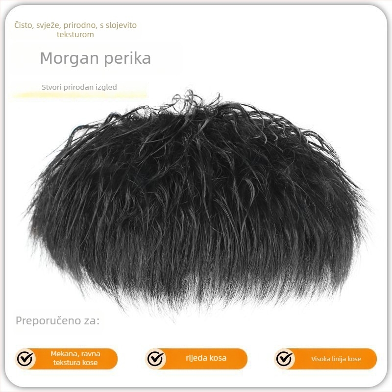 Muška perika, Morgan stil, korejski izgled, ljudska kosa, volumen, pogodna za bojanje i trajnu