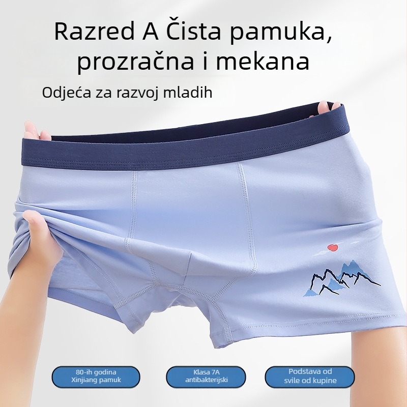 Boxeri za dječake - 95% pamuk, 5% elastan; pamuk materijal; spol: muški; za djecu iznad 8 godina (visina 140 cm i više)