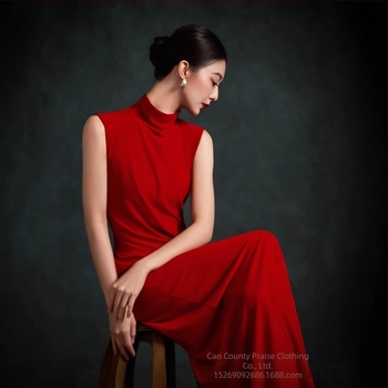 Haljina za portretne fotografije za žene, poliester tkanina, sadržaj poliester 50–70%, bez ovratnika, zima 2025