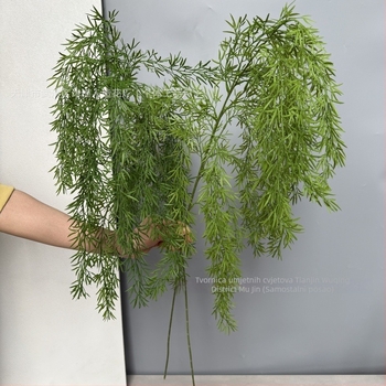 Umjetno zelenilo s grančicama vrbe za vjenčanja i fotografiju (Materijal: Plastika; Izrada: Stiliziranje; Značka: Mu jin; Primjena: Vjenčanja, Vanjski prostori, Fotografijski rekviziti, Domaća dekoracija)