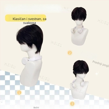 Muška perika, vlasi od visokotemperaturne svile, ravne šiške, mehanička tehnologija, nije moguće bojiti ili perm