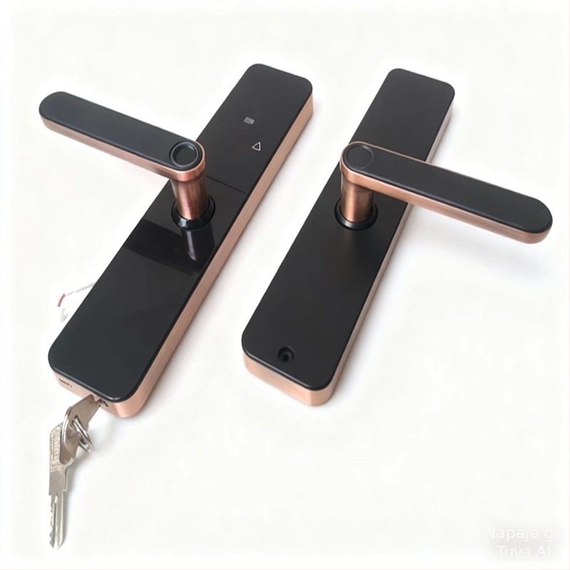 Pametna brava za unutarnja vrata – otisak prsta, lozinka i pristup karticom; Model F-17; pohranjivanje otisaka 100; >100000 otključavanja; vrijeme skeniranja 0.0001 s; DC napajanje