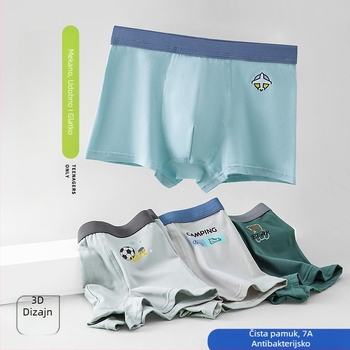 Gaćice za dječake – pamuk, 90–95% pamuka, za uzrast 8+ godina