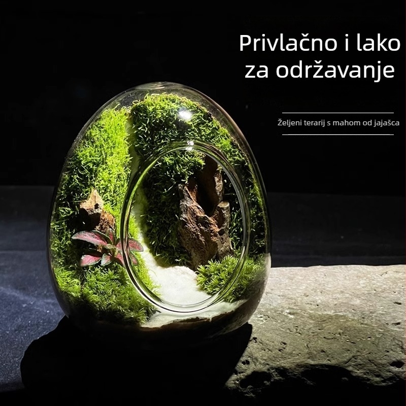 Stakleni terarij s mahom u ljusci jajeta — unutarnja dekorativna boca s pravim mahom (Materijal: staklo; Stil: Drugo; Uvoz: Ne; IP: Ne)