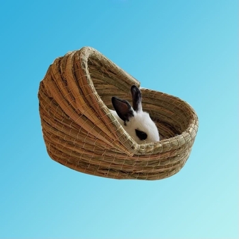 Powerful Merchant Pleteni dom za male ljubimce – toplo zimsko sklonište
