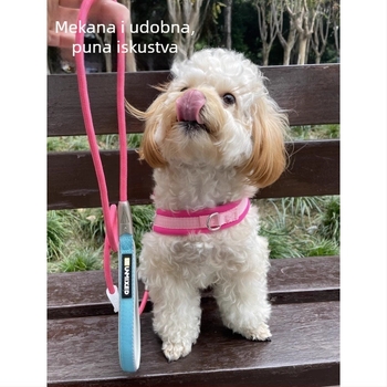 Set za pse: kaiš i prsni pojas | Poliester, Porijeklo: Zhejiang, Kategorija: užad za kućne ljubimce, Brend: UNMIXED, Pakiranje: 50 kom