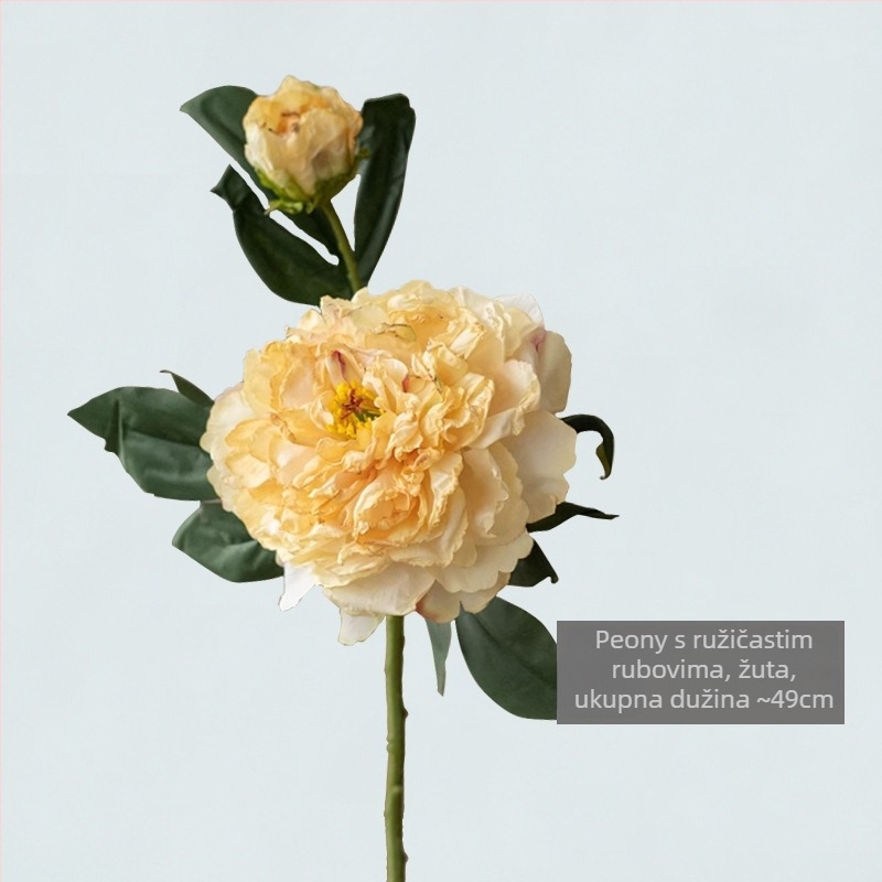 Buket božura s satenskim cvjetovima i grillanim rubovima – Artistic Shadow