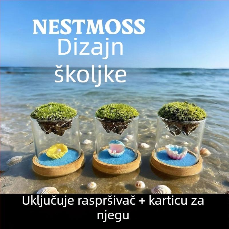 Staklena vaza s mahovim mini pejzažem – staklo visoke borosilikatne kvalitete, Independent, uredska dekoracija, poslovna poklon