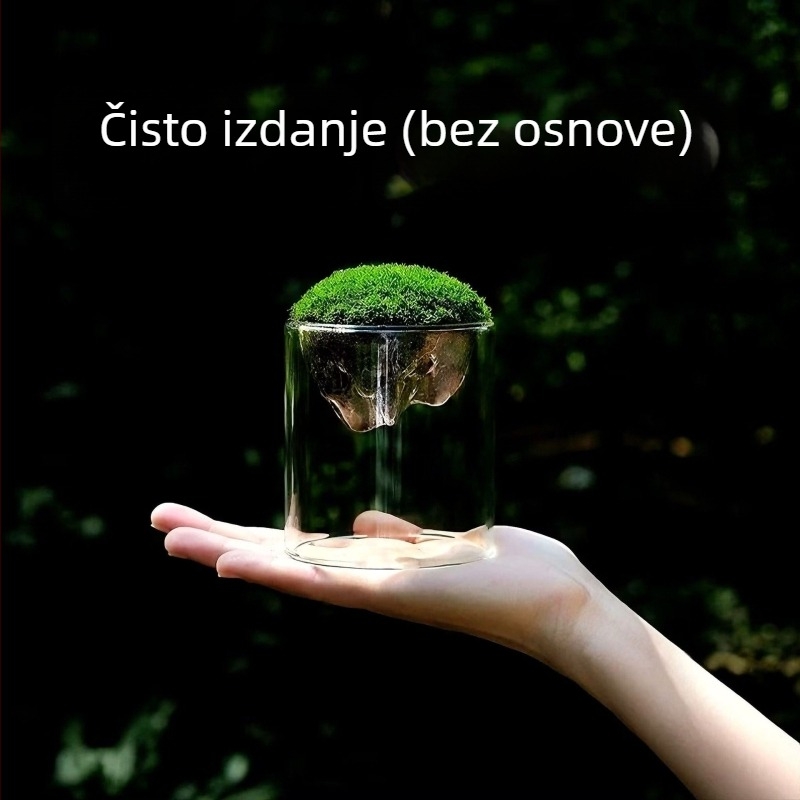 Staklena vaza s mahovim mini pejzažem – staklo visoke borosilikatne kvalitete, Independent, uredska dekoracija, poslovna poklon