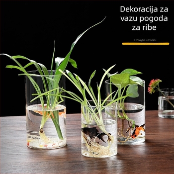 Staklena posuda od visoko borosilikatnog stakla za hidroponiju, aranžiranje cvijeća i prozračni akvarij, kartonsko pakiranje