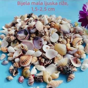 Dekoracije za akvarij od školjki – prirodne morske školjke, nautika stil; prirodna izrada; bionički proizvodni proces (Materijal: školjke; Stil: nautika; Obrada: prirodna; Proizvodni proces: bionički; Primjena: rekviziti za foto-studio, slike za akvarij)