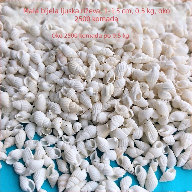 Dekoracije za akvarij od školjki – prirodne morske školjke, nautika stil; prirodna izrada; bionički proizvodni proces (Materijal: školjke; Stil: nautika; Obrada: prirodna; Proizvodni proces: bionički; Primjena: rekviziti za foto-studio, slike za akvarij)