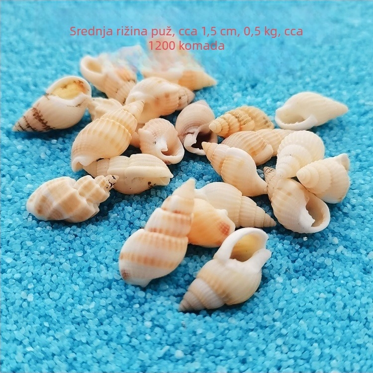 Dekoracije za akvarij od školjki – prirodne morske školjke, nautika stil; prirodna izrada; bionički proizvodni proces (Materijal: školjke; Stil: nautika; Obrada: prirodna; Proizvodni proces: bionički; Primjena: rekviziti za foto-studio, slike za akvarij)