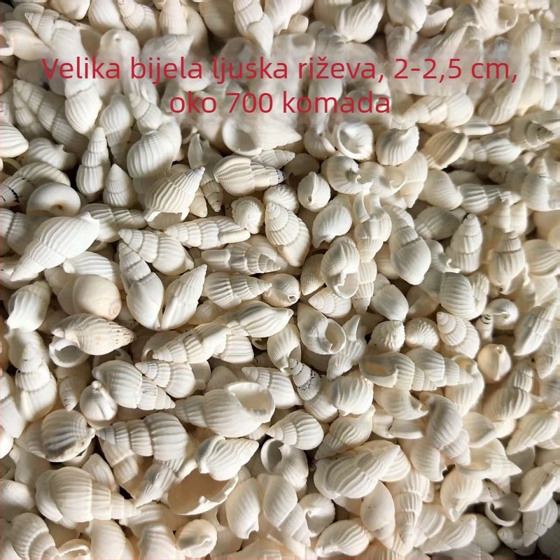 Dekoracije za akvarij od školjki – prirodne morske školjke, nautika stil; prirodna izrada; bionički proizvodni proces (Materijal: školjke; Stil: nautika; Obrada: prirodna; Proizvodni proces: bionički; Primjena: rekviziti za foto-studio, slike za akvarij)