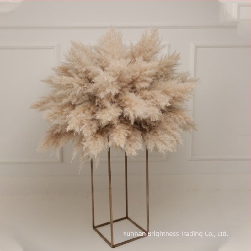 Sušeni cvjetovi – rekvizit za fotografiju u INS stilu, marka Brightness, vrsta 3332590, materijal: sušeni cvjetovi, proces: Drugo, upotreba: vjenčanje/otvoreno/rekviziti za fotografiju