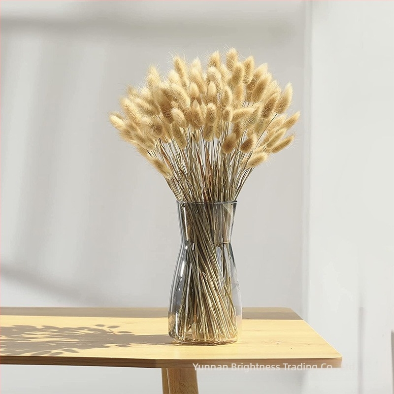 Sušeni cvjetovi – rekvizit za fotografiju u INS stilu, marka Brightness, vrsta 3332590, materijal: sušeni cvjetovi, proces: Drugo, upotreba: vjenčanje/otvoreno/rekviziti za fotografiju