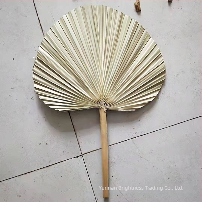 Sušeni cvjetovi – rekvizit za fotografiju u INS stilu, marka Brightness, vrsta 3332590, materijal: sušeni cvjetovi, proces: Drugo, upotreba: vjenčanje/otvoreno/rekviziti za fotografiju