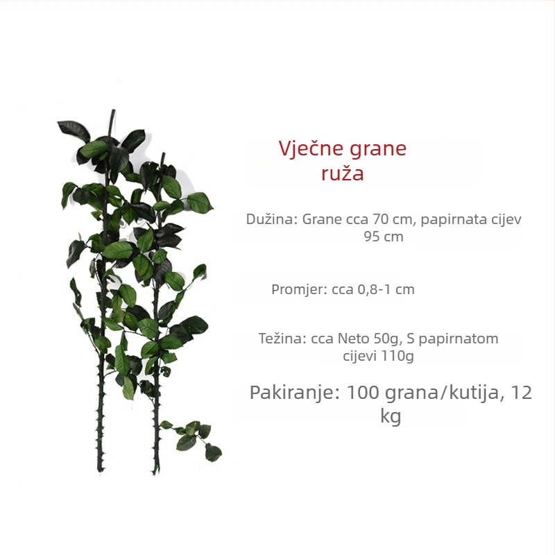 Vječne ružine grančice, duljine 60–70 cm, staklena kupola Mali princ, DIY materijal za aranžiranje cvijeća