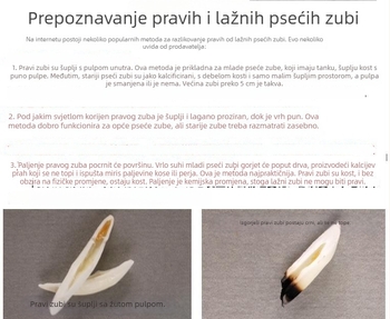 Pravi crni zub psa — privjesak od zuba vuka i tibetanskog mastifa, ogrlica u etničkom stilu za muškarce i djecu