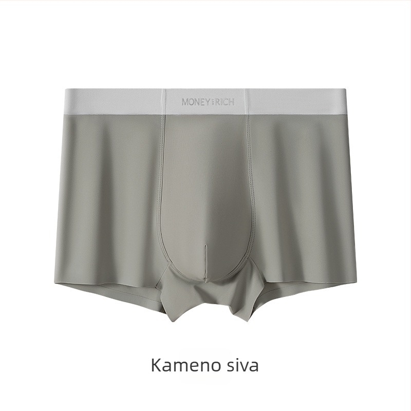 Muške bokserice od Ice Silk, prozračne prozračan, antibakterijski, bez vidljivih šavova, osvježavajući osjećaj